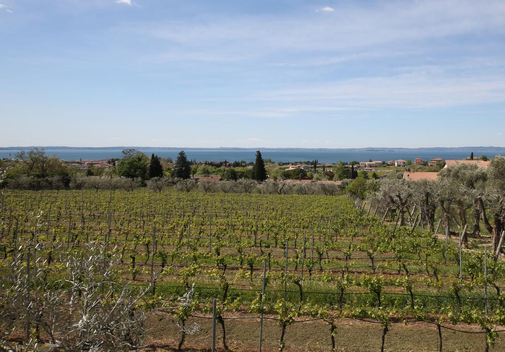 Appartamenti Bellavista Bardolino Zewnętrze zdjęcie